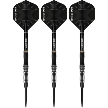 Revolution B18 Straight Multi Cut steel tip darts, 90% tungsten, flight detail