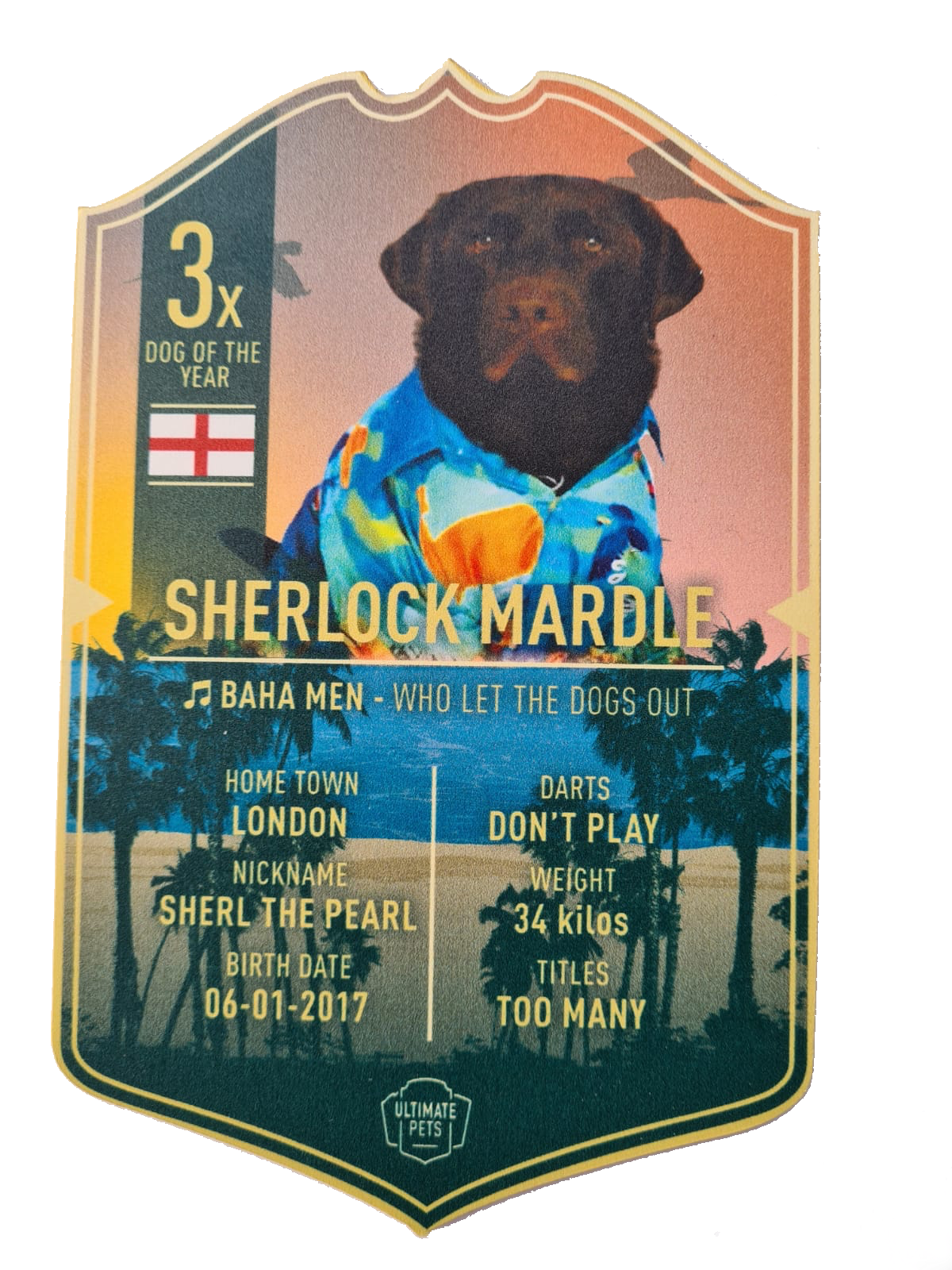 Unsigned Sherlock Mardle Ultimate Darts Card, product photo