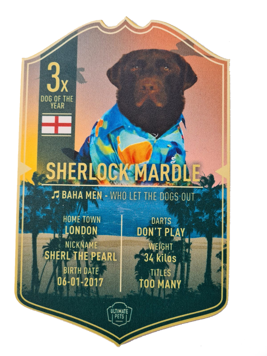 Unsigned Sherlock Mardle Ultimate Darts Card — product photo
