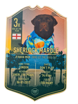 Unsigned Sherlock Mardle Ultimate Darts Card