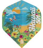 Wayne Mardle Flights — Hawaii 501